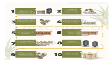 El Colaito Drip 0.46Oz/12grms Single Serve Ready to Brew Whole Sale Decaffeinated
